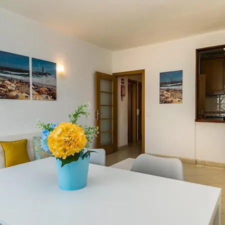 Akisol In Iii Appartement *